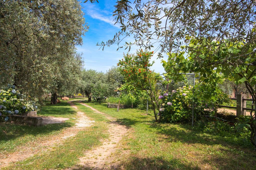 Anastasia Apartments Skala Potamia  Luaran gambar